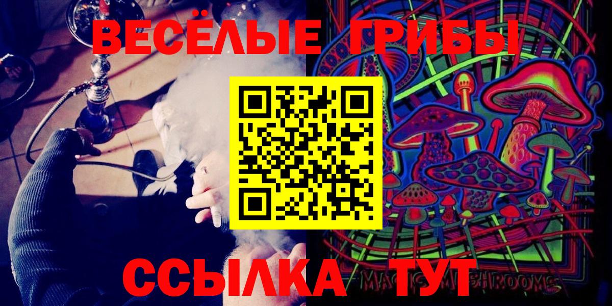 Горячий Ключ  Галлюциногенные грибы Psilocybine cubensis  Галлюциногенные грибы прущие грибы  Вход с VPN 