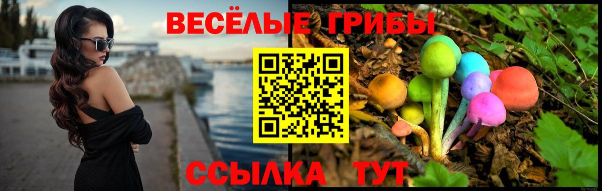 Псилоцибиновые грибы мицелий Горячий Ключ